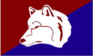 Flagge Vesterans.jpg