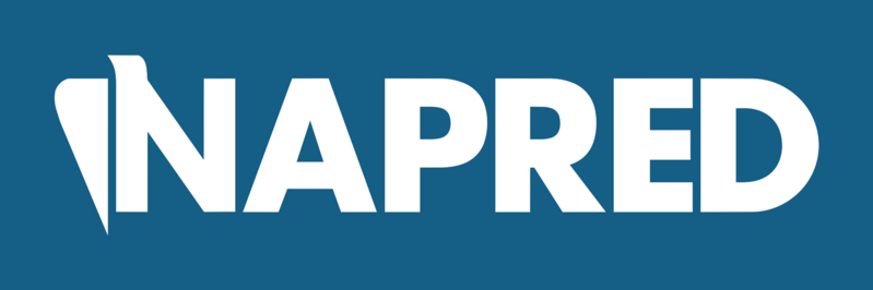 Datei:NAPRED Logo 2026 3.svg